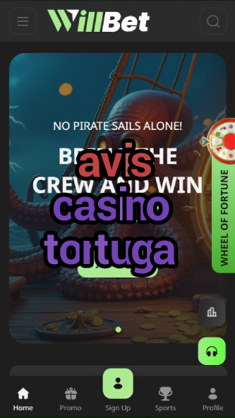 avis casino tortuga-asdasdzhjkds.com
